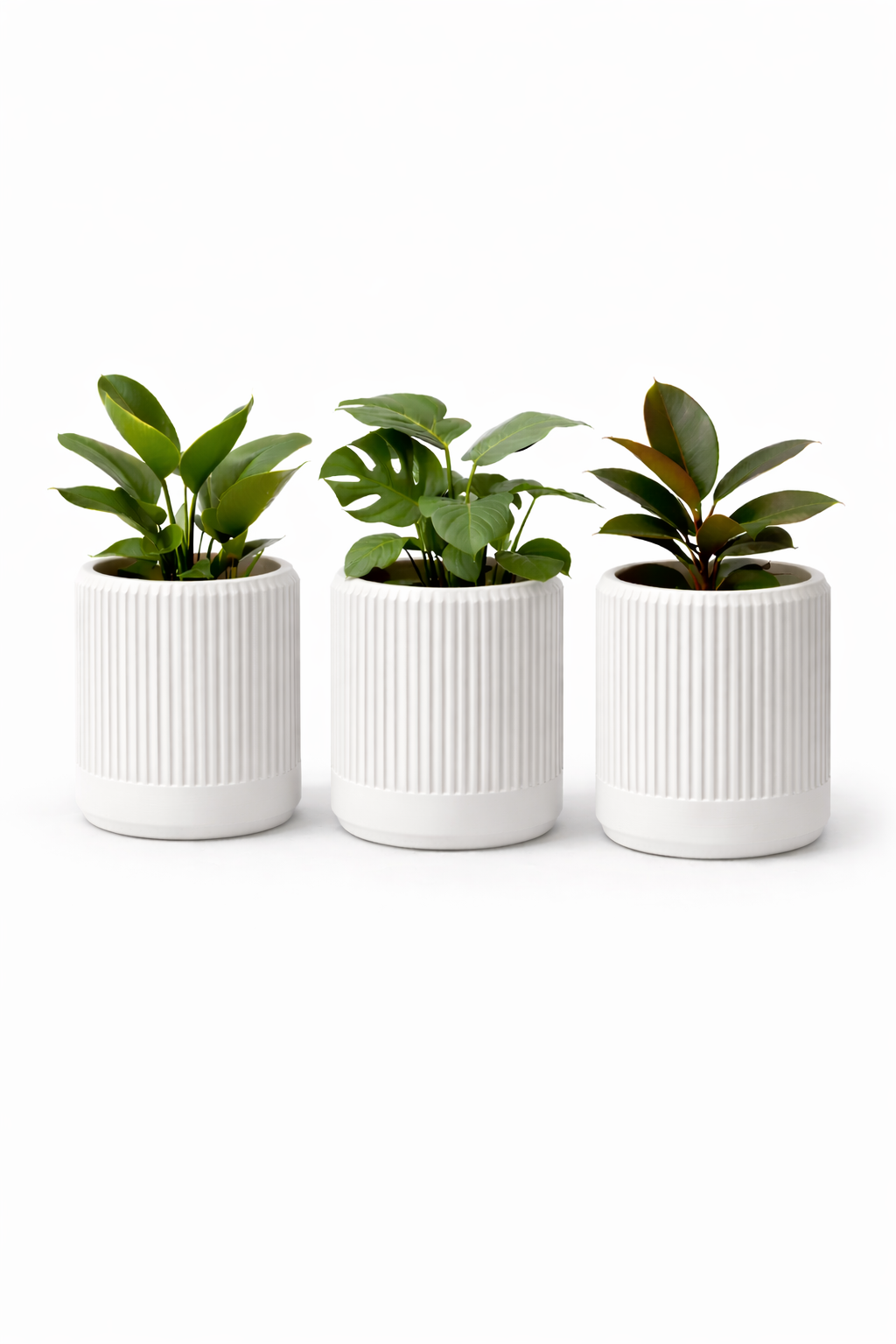 The Japandi Pot Set
