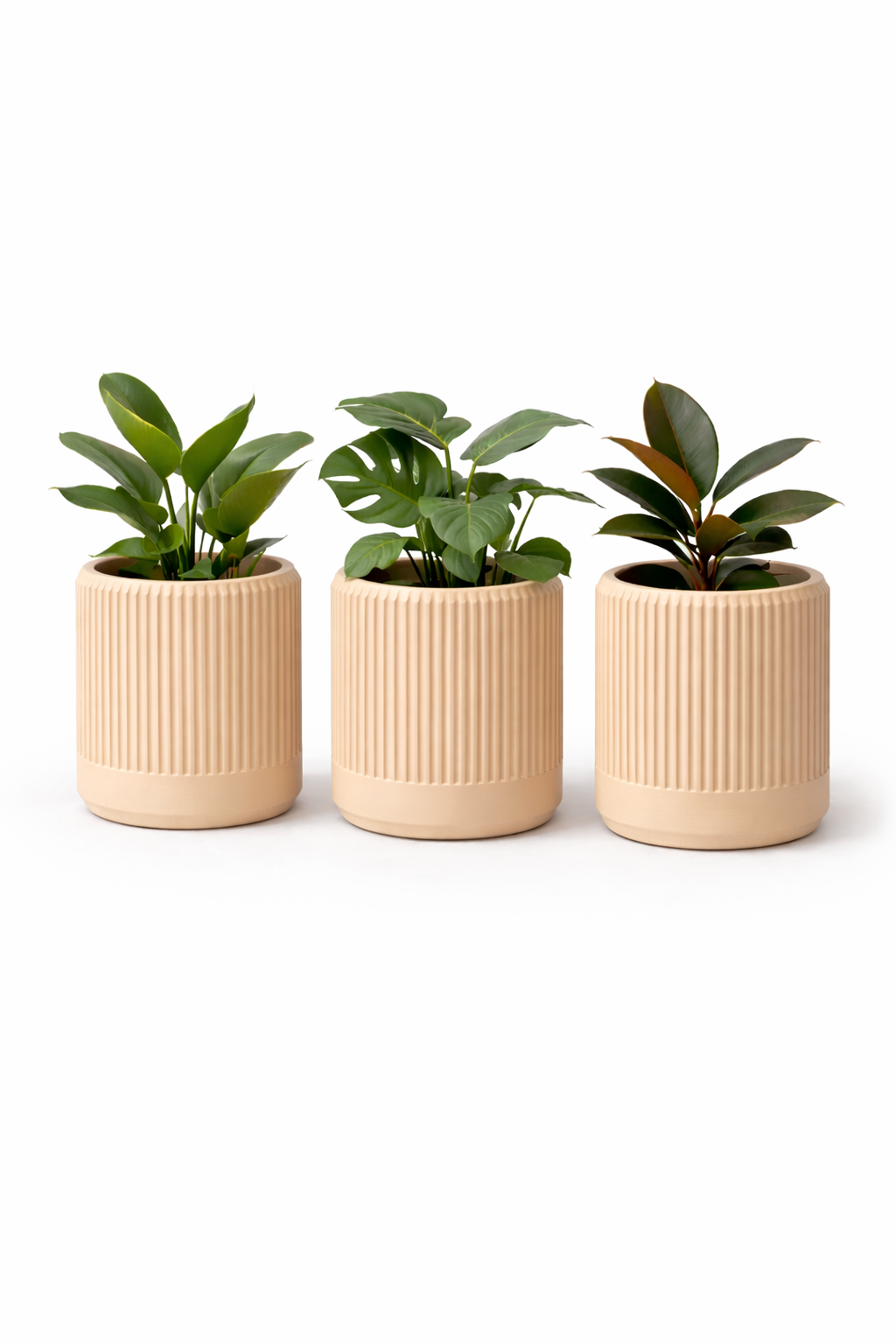 The Japandi Pot Set