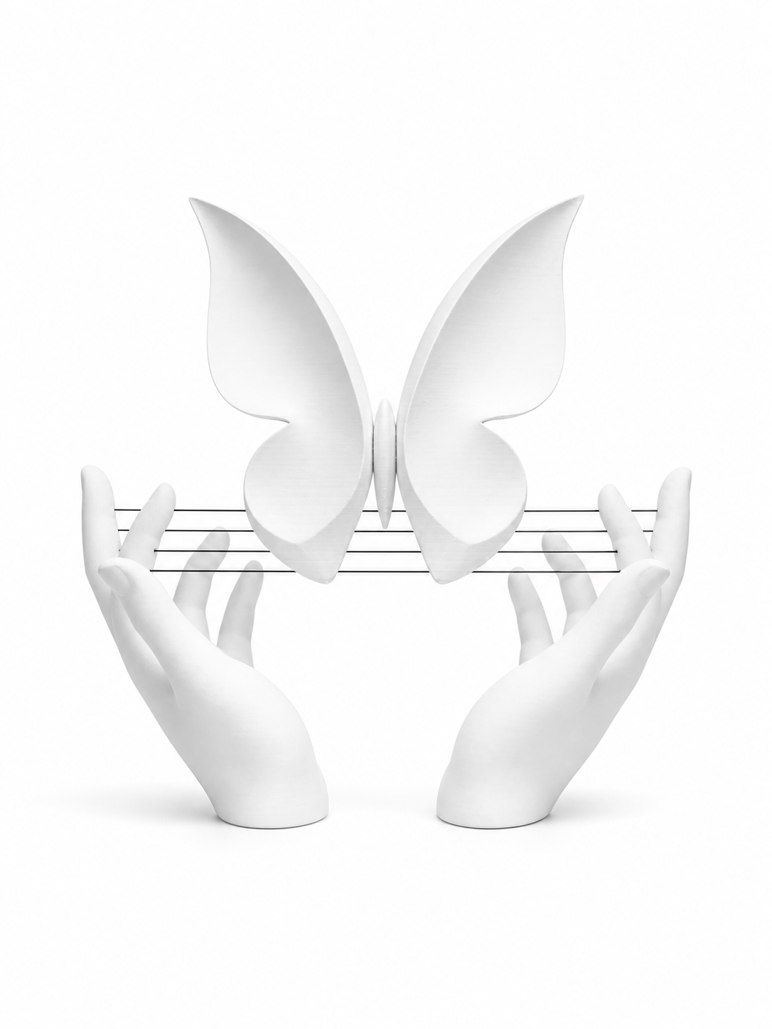 The Velora Wings